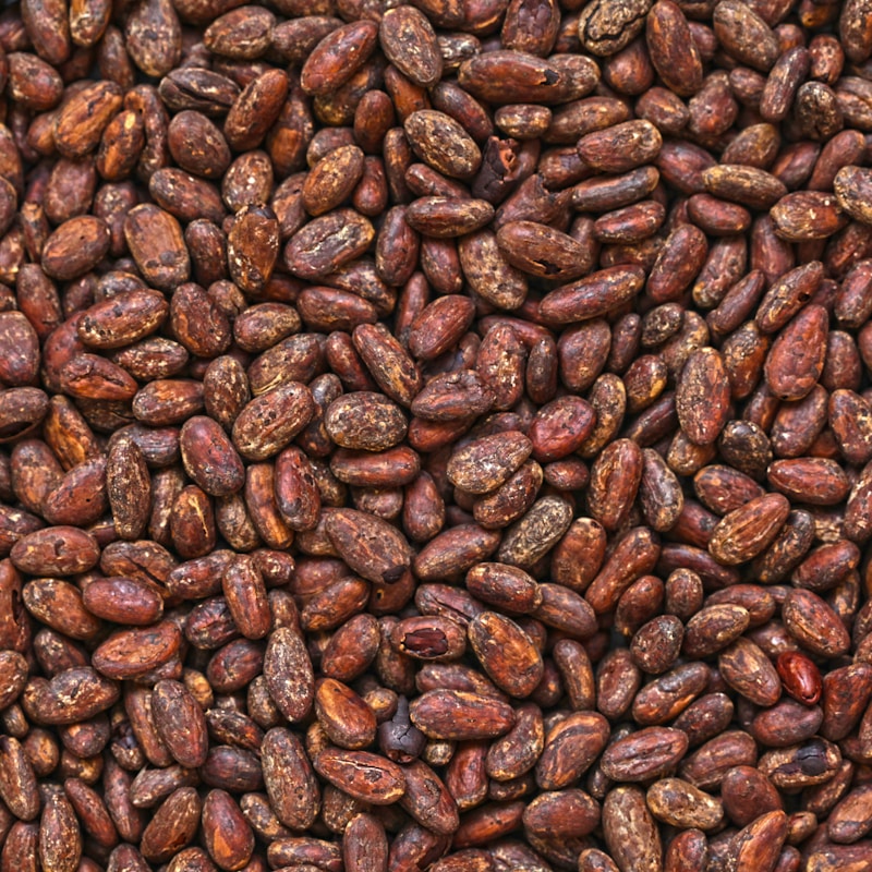 Cocoa Beans — Côte d'Ivoire · Cameroon