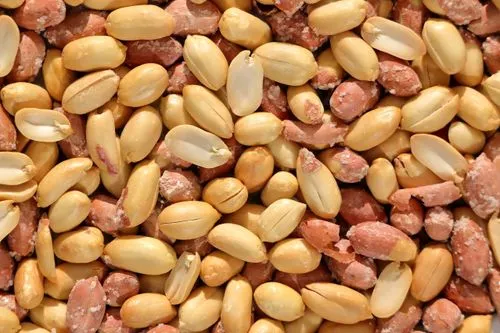 Peanuts (Groundnuts) — Senegal · Sudan · Nigeria